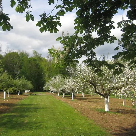 Bed & Breakfast Chateau De Villette Glaire-et-Villette